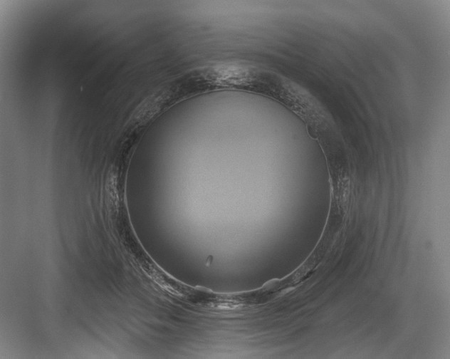 X0000084020506200702161231