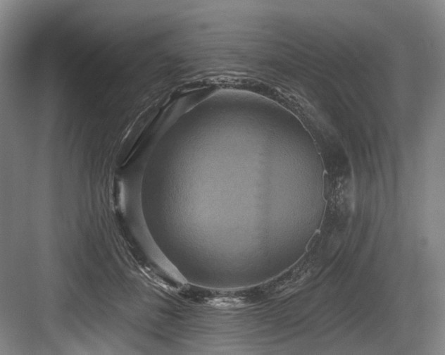 X0000084020508200702161231