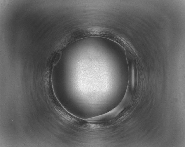 X0000084020509200702161231