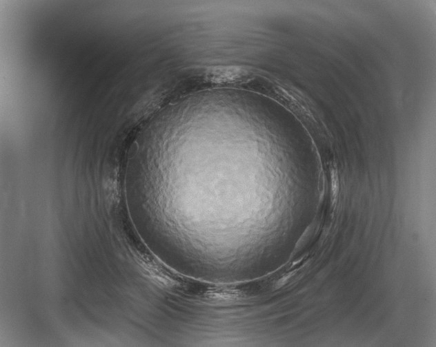 X0000084020510200702161231