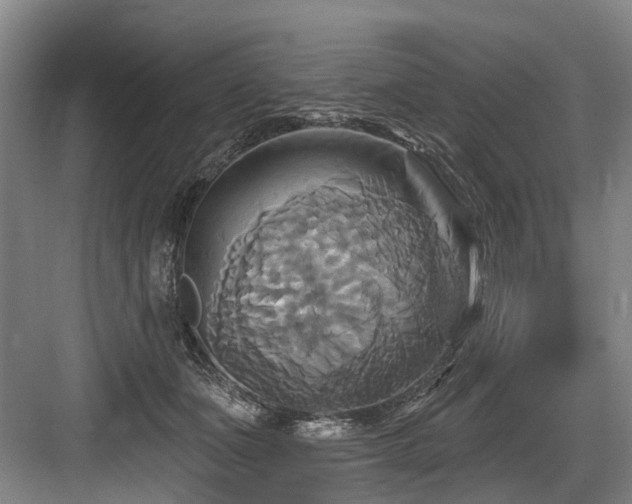 X0000084020511200702161231