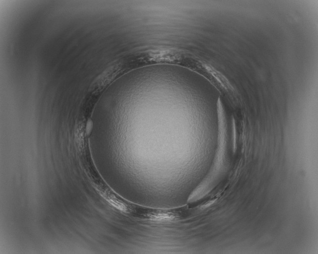 X0000084020513200702161231