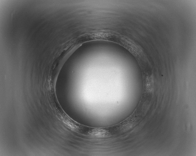 X0000084020514200702161231