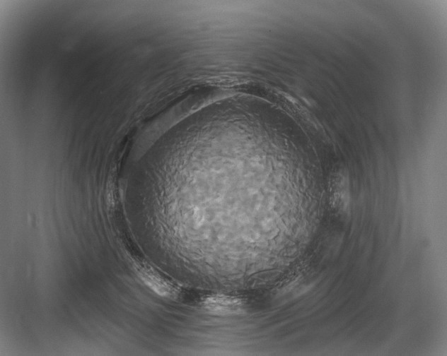 X0000084020515200702161231