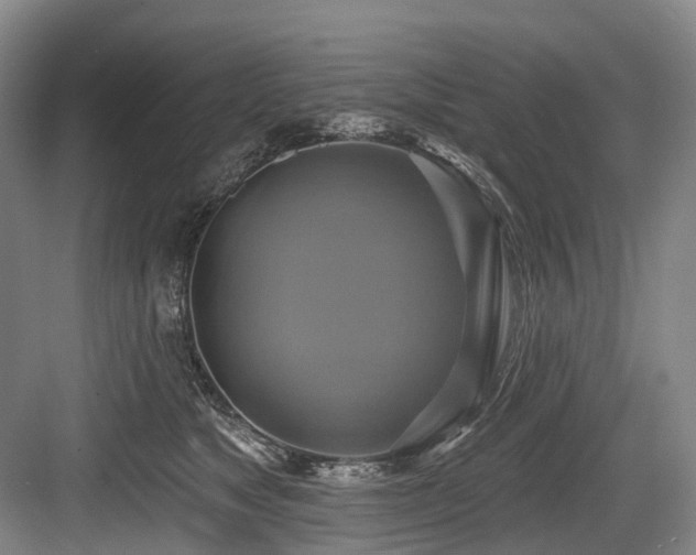 X0000084020517200702161231