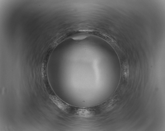 X0000084020519200702161231