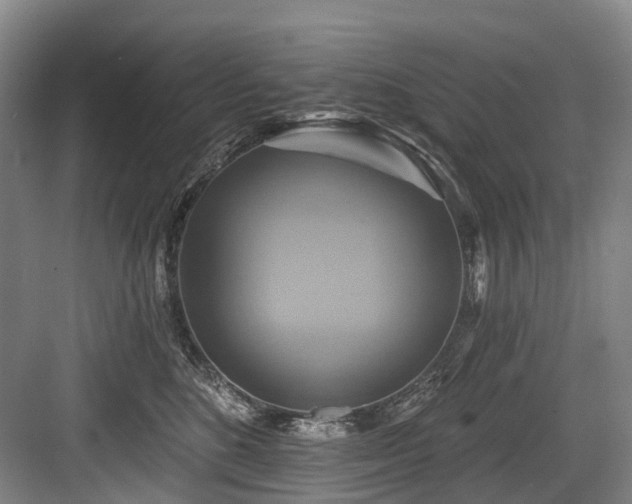 X0000084020520200702161231