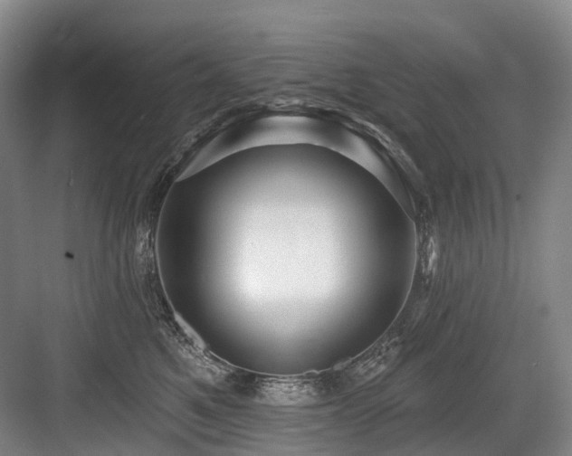 X0000084020521200702161231