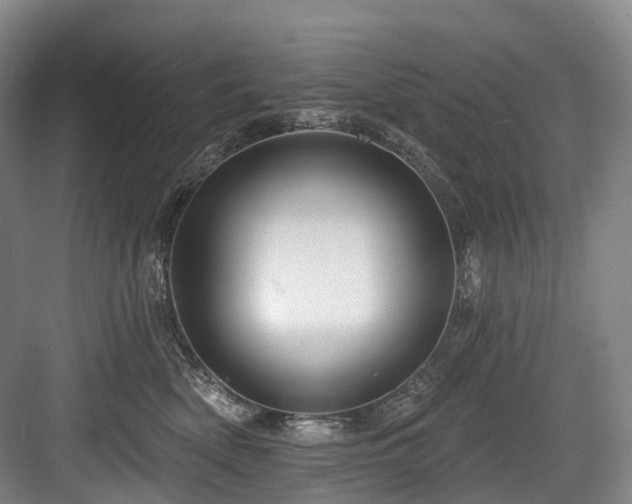 X0000084020522200702161231