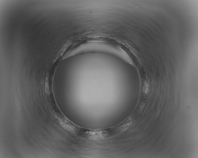 X0000084020524200702161231