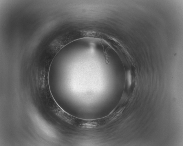 X0000084020525200702161231