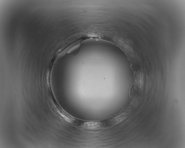 X0000084020526200702161231