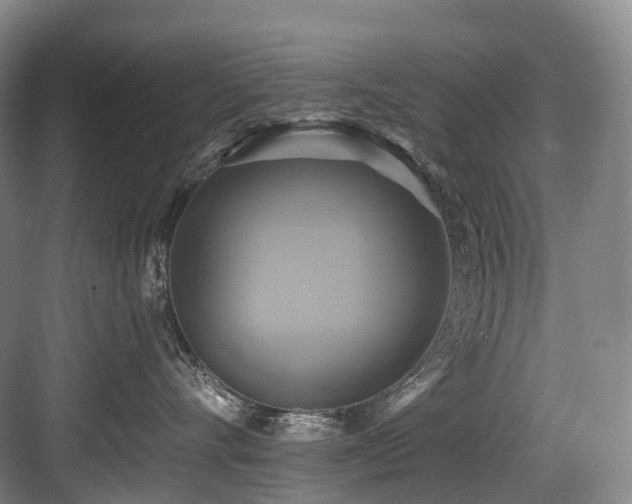 X0000084020528200702161231