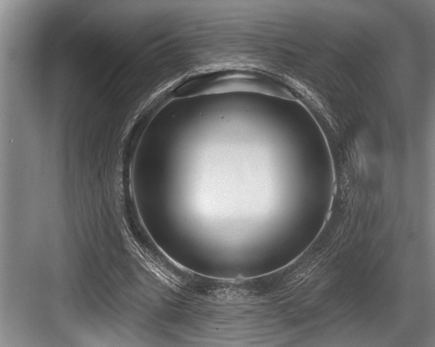 X0000084020535200702161230