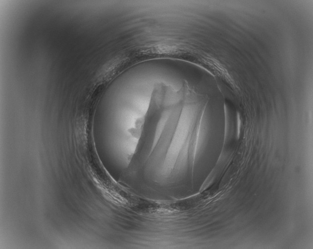 X0000084020542200702161230