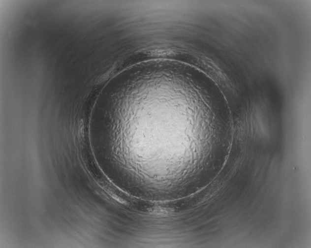 X0000084020549200702161230