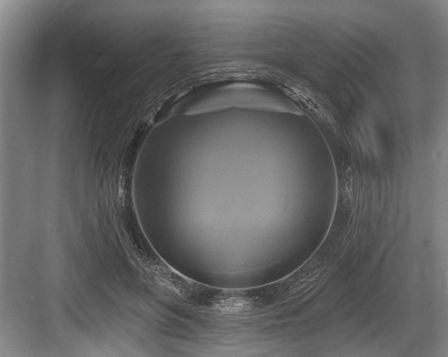X0000084020551200702161230