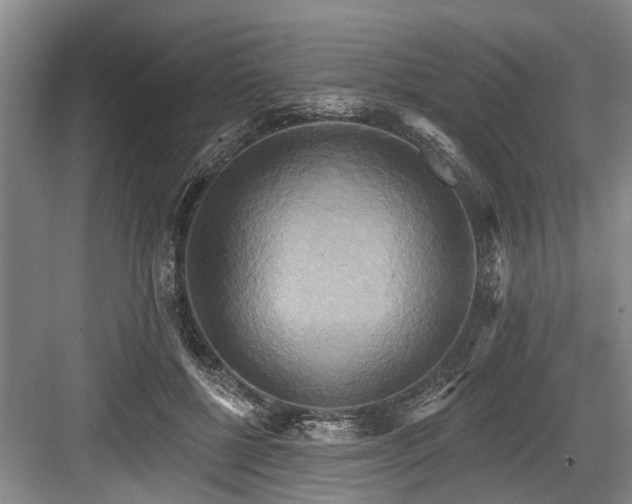 X0000084020552200702161230