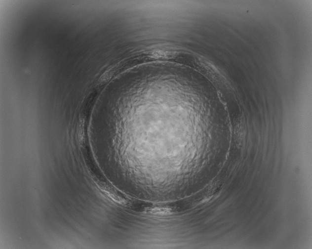 X0000084020554200702161230