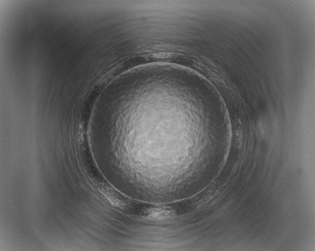 X0000084020555200702161230