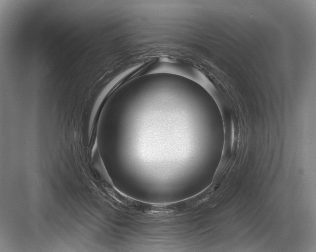 X0000084020556200702161230