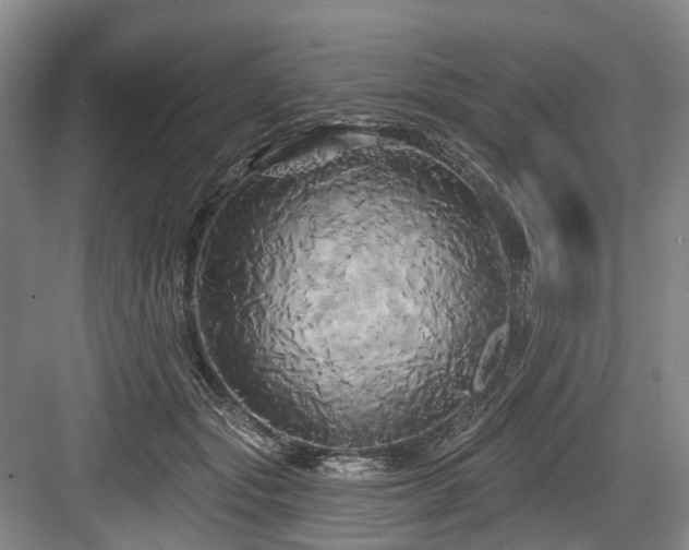 X0000084020557200702161230