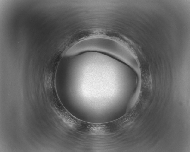 X0000084020560200702161231