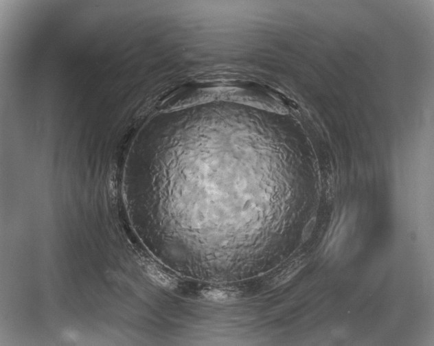 X0000084020561200702161231