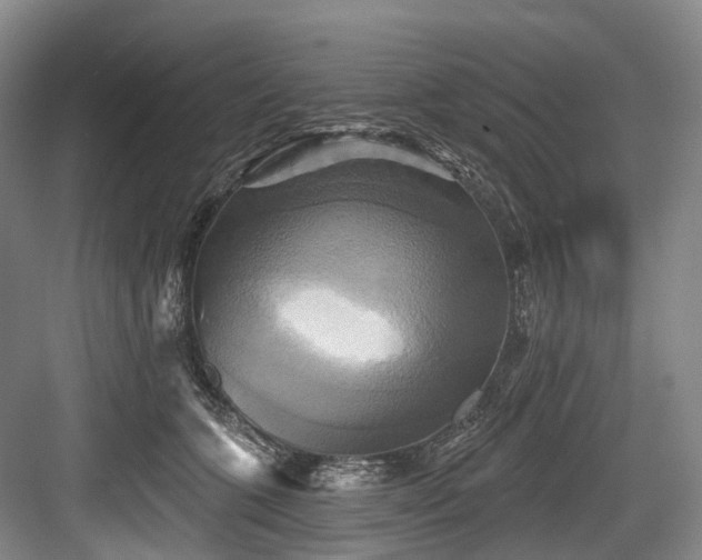 X0000084020563200702161231