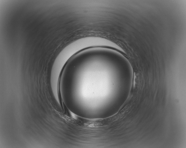 X0000084020564200702161231