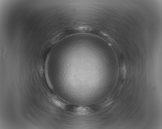 X0000084020566200702161231