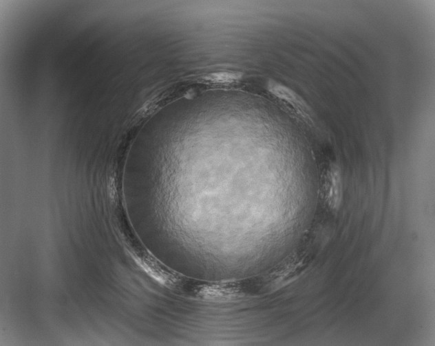 X0000084020568200702161231