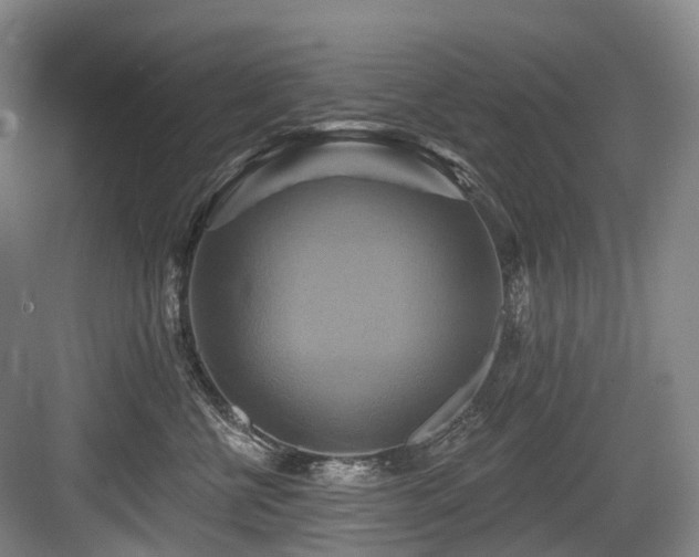 X0000084020570200702161231