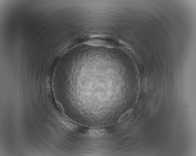 X0000084020571200702161231