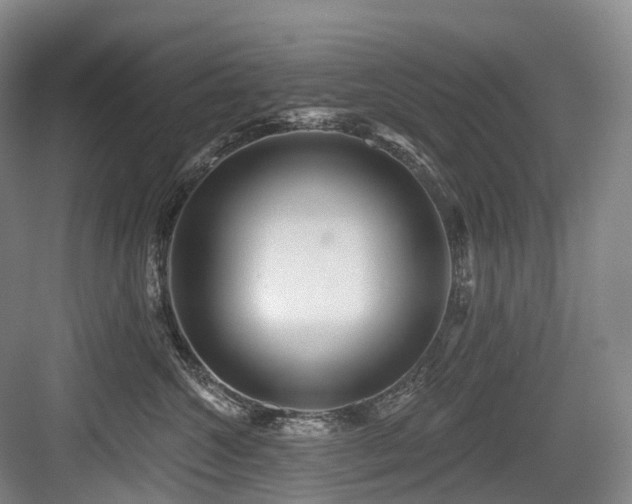 X0000084020572200702161231