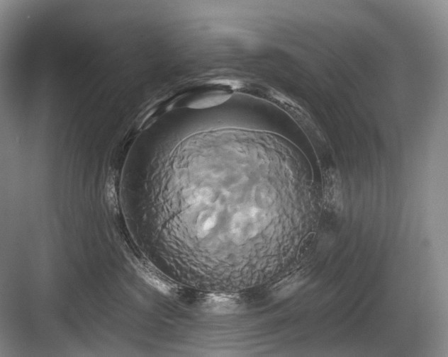 X0000084020573200702161231