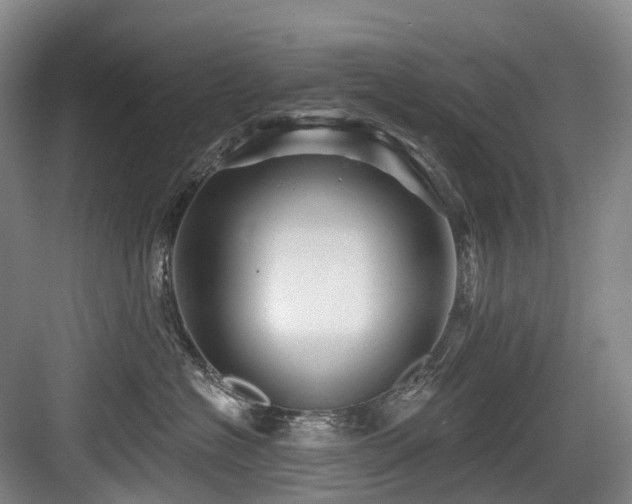 X0000084020574200702161231