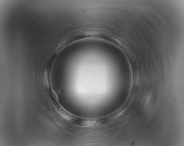 X0000084020575200702161231