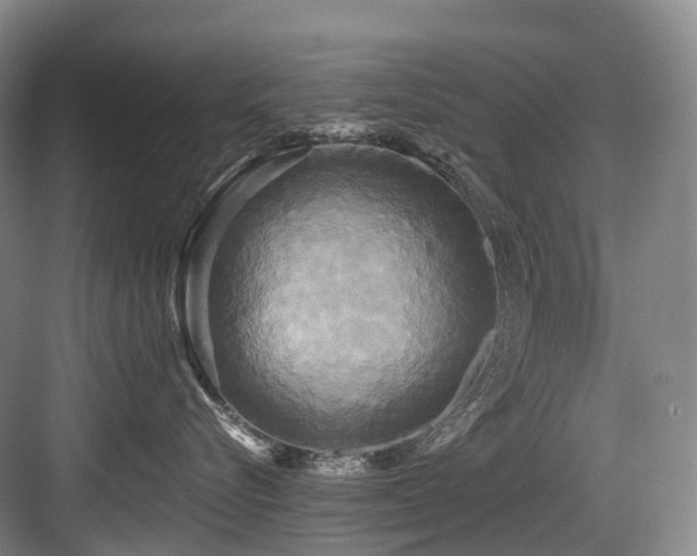 X0000084020576200702161231