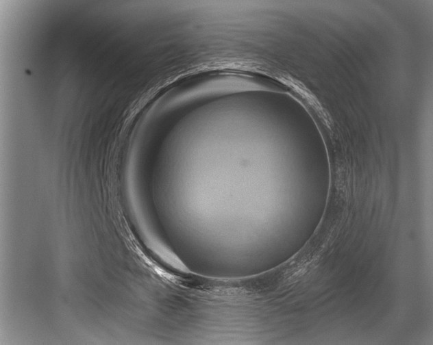X0000084020577200702161230