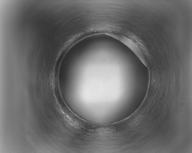 X0000084020578200702161230
