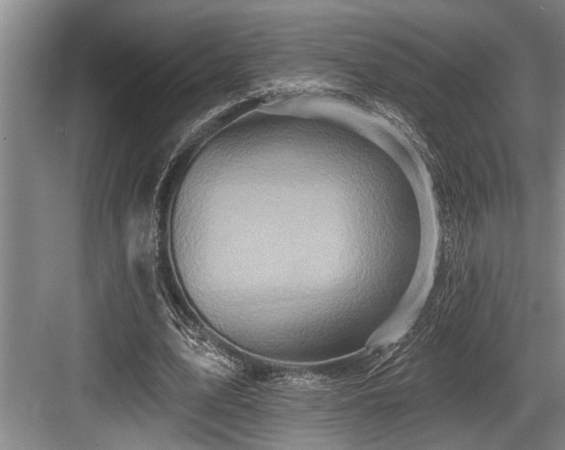 X0000084020583200702161230
