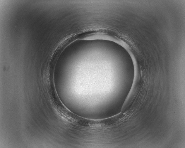X0000084020587200702161230