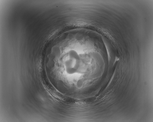 X0000084020591200702161230