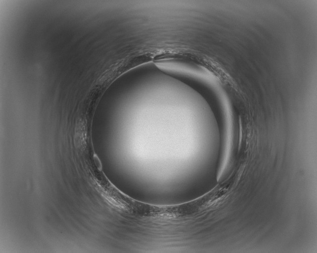 X0000084020593200702161230