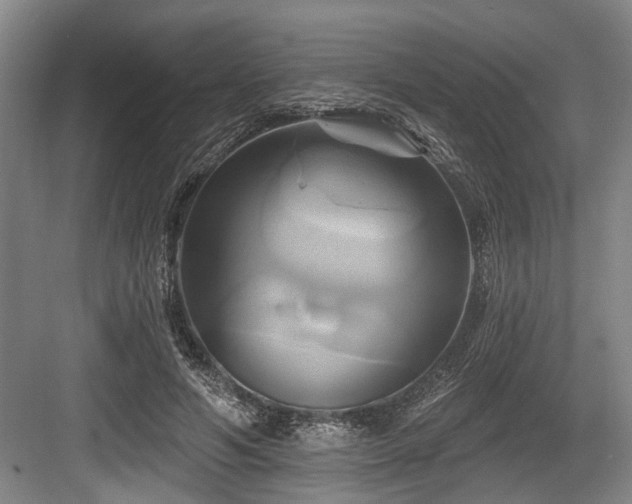 X0000084020594200702161230