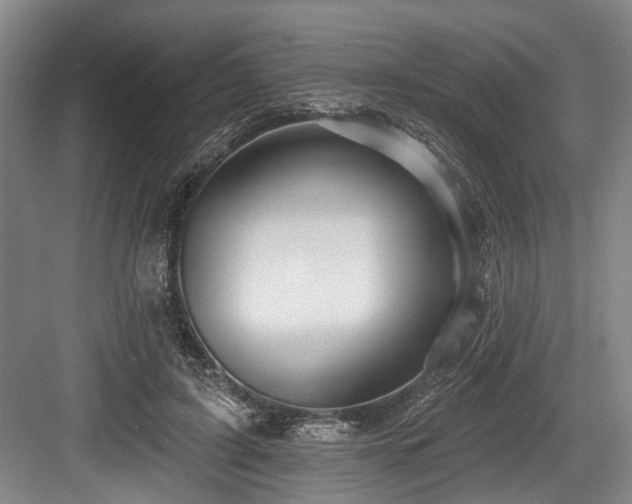 X0000084020595200702161230