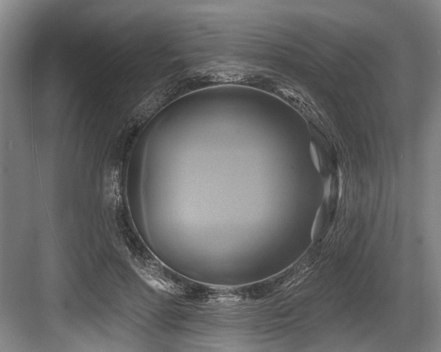 X0000084020598200702161230