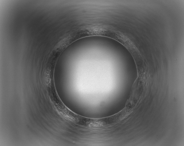 X0000084020599200702161230