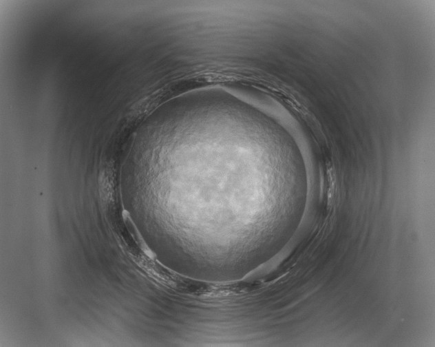 X0000084020604200702161230